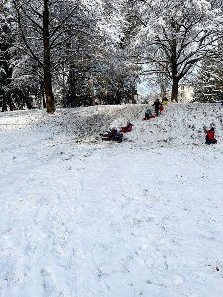 815632c8 76dc 445e 9b3a Bbef91cc2c5a